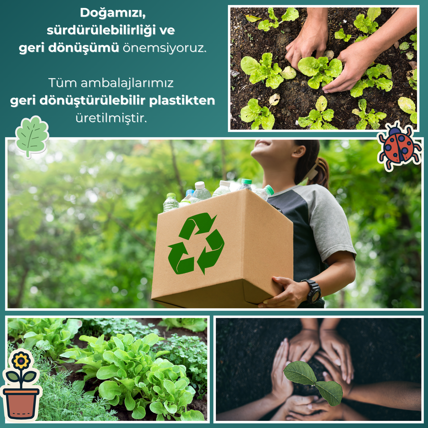 3’lü Avantajlı Tanışma Seti - Aluminyumsuz, Parabensiz Temiz + Ferah + Çiçeksi Roll-on Deodorant