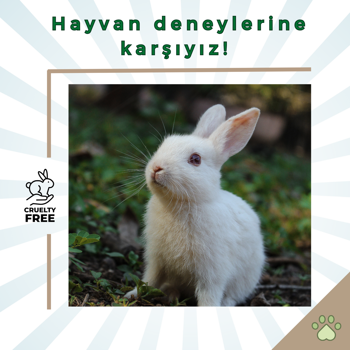 2’li Avantajlı Set - Aluminyumsuz, Parabensiz Temiz Roll-on Deodorant