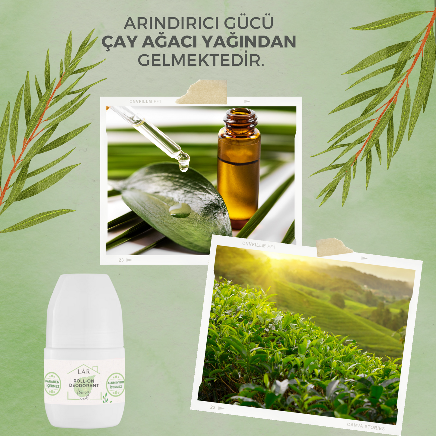 2’li Avantajlı Set - Aluminyumsuz, Parabensiz Temiz Roll-on Deodorant