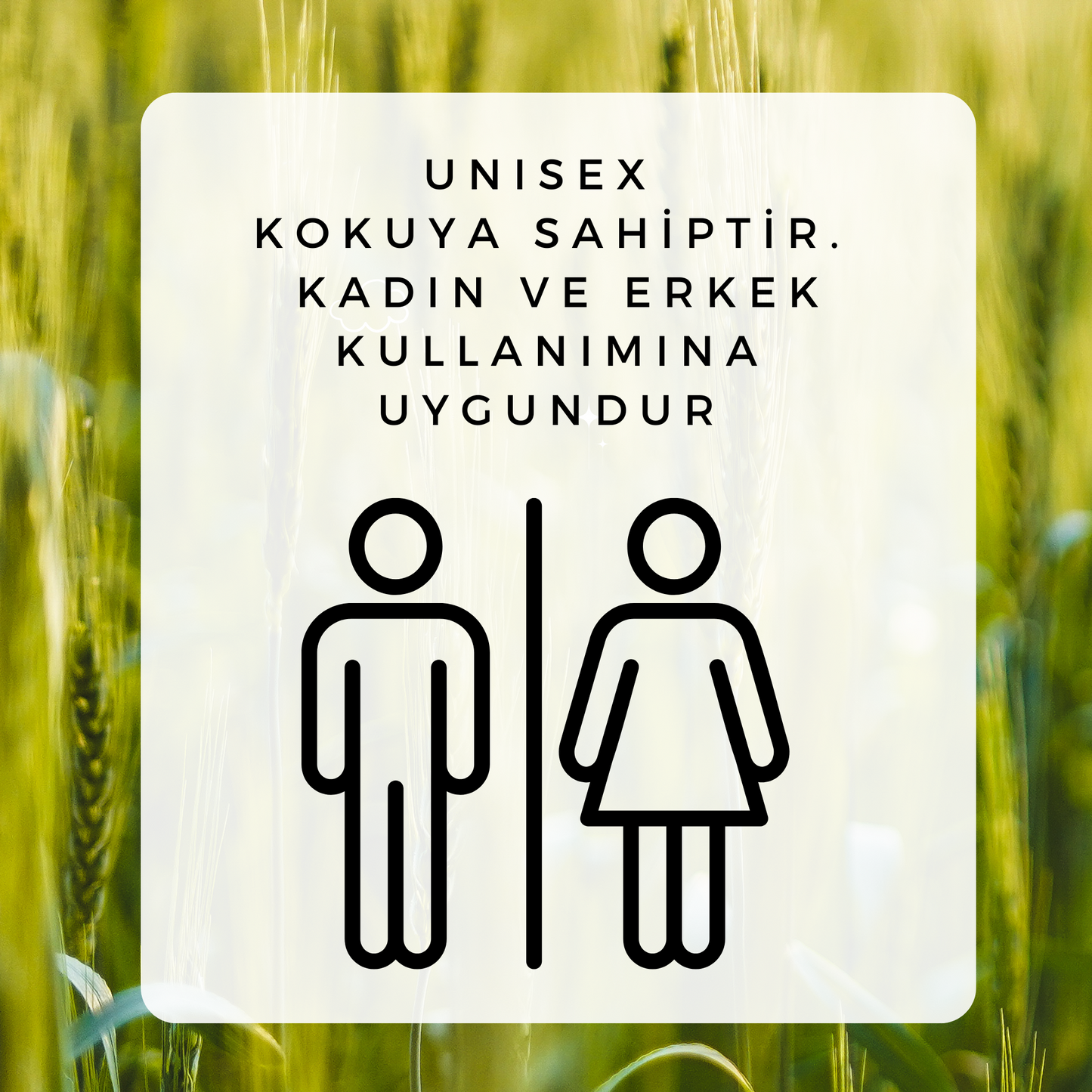Onarıcı Dolgunlaştırıcı Şampuan - 350ml